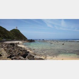 青い海と手付かずの自然（Ｃ）日刊ゲンダイ