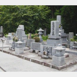 事前相談は必須（Ｃ）日刊ゲンダイ