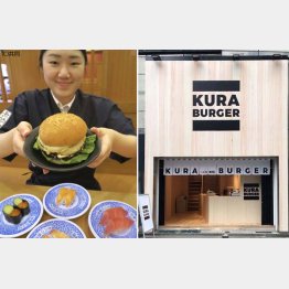 幹部候補生を10人募集する「くら寿司」（提供）くらコーポレーション