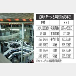 野村ホールディングスとSBIホールディングス（Ｃ）日刊ゲンダイ