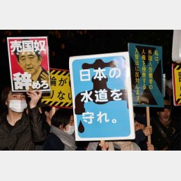 水道の次は国有林が企業の金儲けに（Ｃ）日刊ゲンダイ