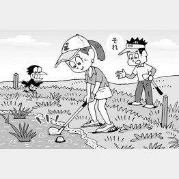 （イラスト・小山混）