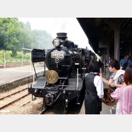 懐かしのハチロク（Ｃ）日刊ゲンダイ