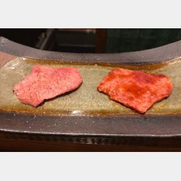 メニューはコースのみ（提供写真）