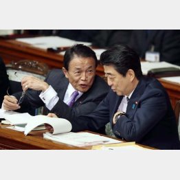 選挙のためなら何でもアリ（Ｃ）日刊ゲンダイ