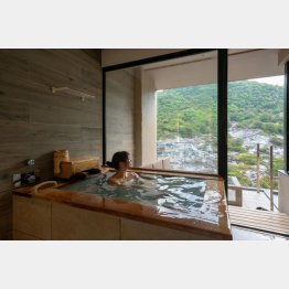 客室付きのバスルームのみ（提供写真）