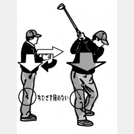 （イラスト・渡辺隆司）