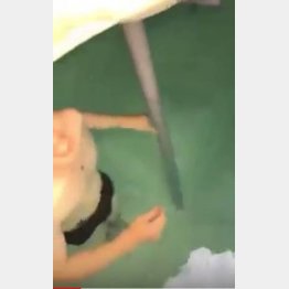 受水槽で水遊び（ＳＮＳから）