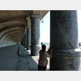 北防波堤ドーム（Ｃ）日刊ゲンダイ