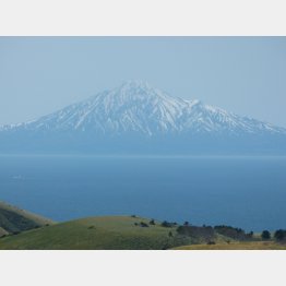 宗谷丘陵から望む利尻富士（Ｃ）日刊ゲンダイ