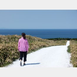 白い道（Ｃ）日刊ゲンダイ