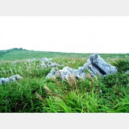 四国カルスト（提供写真）