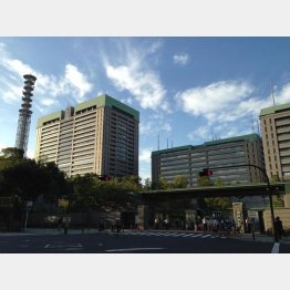 防衛省（Ｃ）日刊ゲンダイ