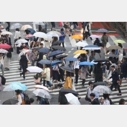 送迎が終われば親に連絡してくれ、ドライバー指定も可能（Ｃ）日刊ゲンダイ