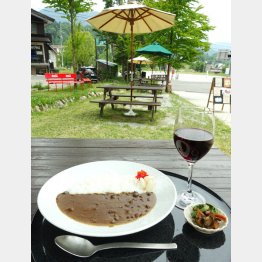 ゴンドラリフト乗り場近く「TSUGA BASE」のカレーもおすすめ（Ｃ）日刊ゲンダイ