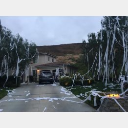 （サンクレメンテのフェイスブックから）