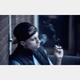 写真はイメージ