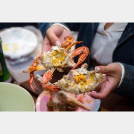 タイワンガザミはミソもうまい（Ｃ）日刊ゲンダイ