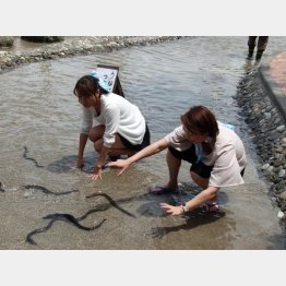 最初は難しいが…（Ｃ）日刊ゲンダイ