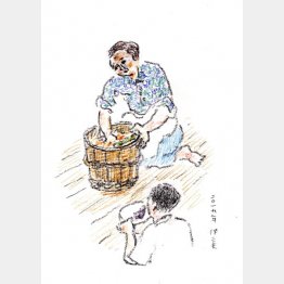 （画・牧野伊三夫）