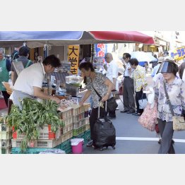 高齢者世帯の多くが年金のみで生活、「生活苦しい」は５５・１％／（Ｃ）日刊ゲンダイ