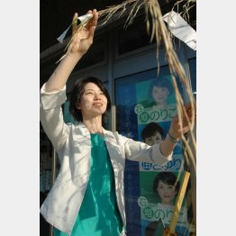 知名度バツグンの石垣のりこ氏（Ｃ）日刊ゲンダイ