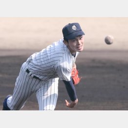 １５日に初戦を迎える佐々木（Ｃ）日刊ゲンダイ