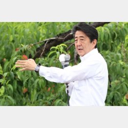 安倍首相が争点化もくろむ「憲法改正」は低迷（Ｃ）日刊ゲンダイ