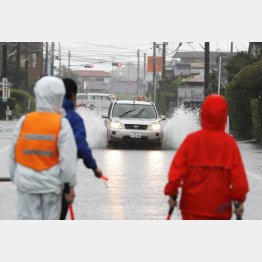 九州南部は猛烈な雨だった（大雨の影響で冠水した宮崎県都城市の道路を走る車）／（Ｃ）共同通信社