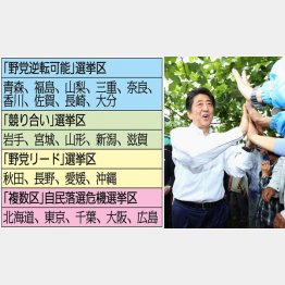 有権者らとハイタッチする安倍首相（Ｃ）日刊ゲンダイ