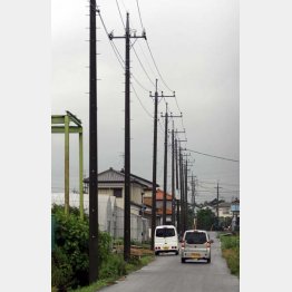 電柱は活躍の場が広がる？（Ｃ）日刊ゲンダイ