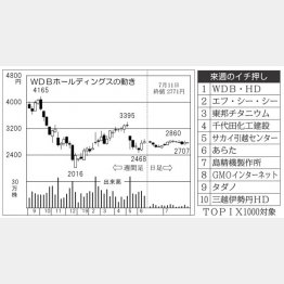 ＷＤＢホールディングス（Ｃ）日刊ゲンダイ