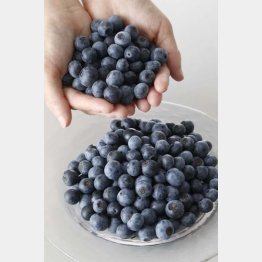 抗酸化力の強いブルーベリー（Ｃ）日刊ゲンダイ