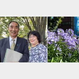 籠池夫妻（右は大阪弁護士会館の君子蘭）（提供写真）