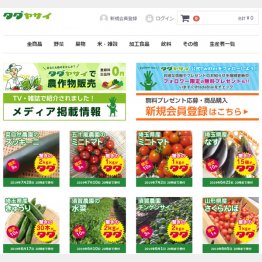 これが「タダヤサイ」サイト