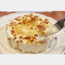 懐かしのグラタンの味（ビストロ緑）／（Ｃ）日刊ゲンダイ