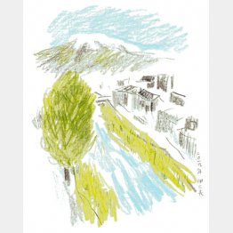 （画・牧野伊三夫）