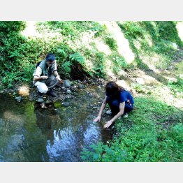 森歩きの途中で水の流れに手をつけてみる（Ｃ）日刊ゲンダイ