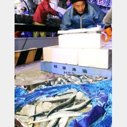 今年はどうなる？（Ｃ）共同通信社