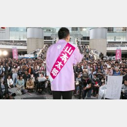 2議席を獲得した「れいわ新選組」（Ｃ）日刊ゲンダイ