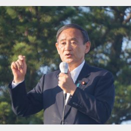 菅官房長官は３度秋田入り（２０日男鹿市）／（Ｃ）日刊ゲンダイ