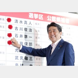 笑顔で花をつける安倍晋三首相だが…（Ｃ）日刊ゲンダイ