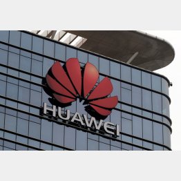 ファーウェイ（Ｃ）日刊ゲンダイ