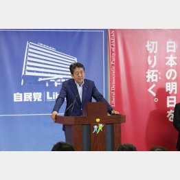 参院選後会見をする安倍首相（Ｃ）日刊ゲンダイ