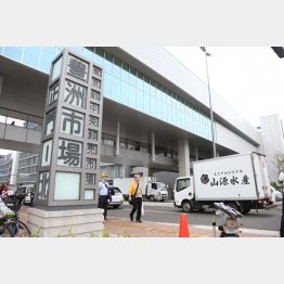 ネズミがアチコチで出没（Ｃ）日刊ゲンダイ