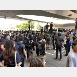 気分は「調査兵団」（提供写真）