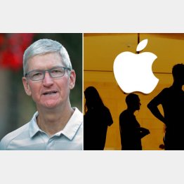米アップルのT・クックCEO（Ｃ）ロイター