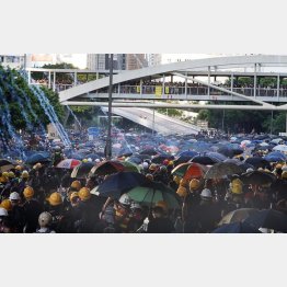 収拾がつかない（撮影・中村康伸）