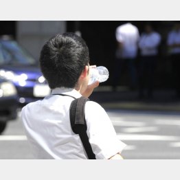 水とスポーツ飲料どっちを飲むべきか（Ｃ）日刊ゲンダイ