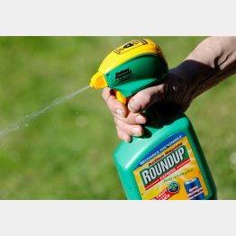欧州などではグリホサート剤を含んでいる除草剤は使用禁止や規制強化（Ｃ）ロイター